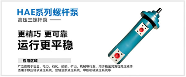 1736135654315990.jpg 6.jpg